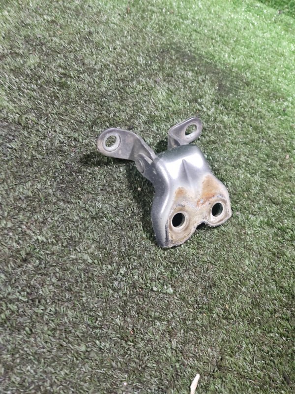 Петля двери Geely Emgrand EC7 2013 FE-1