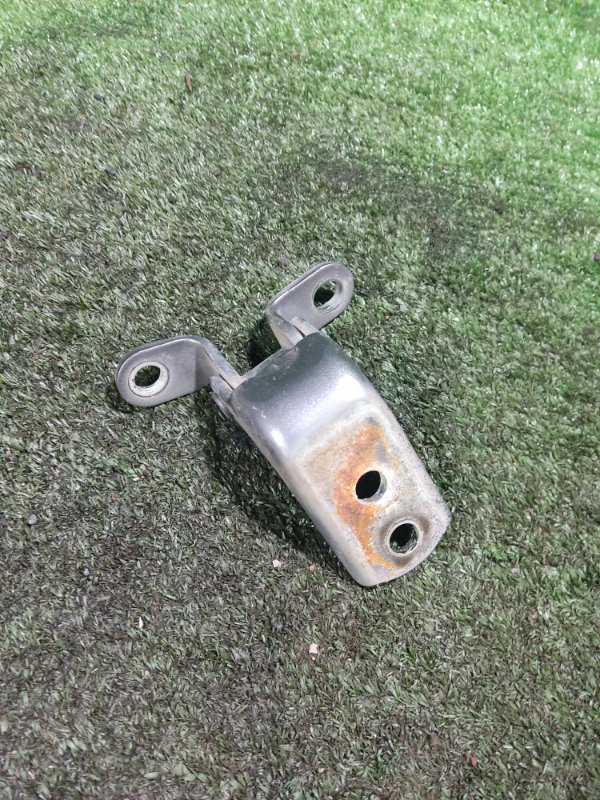 Петля двери Geely Emgrand EC7 2013 FE-1