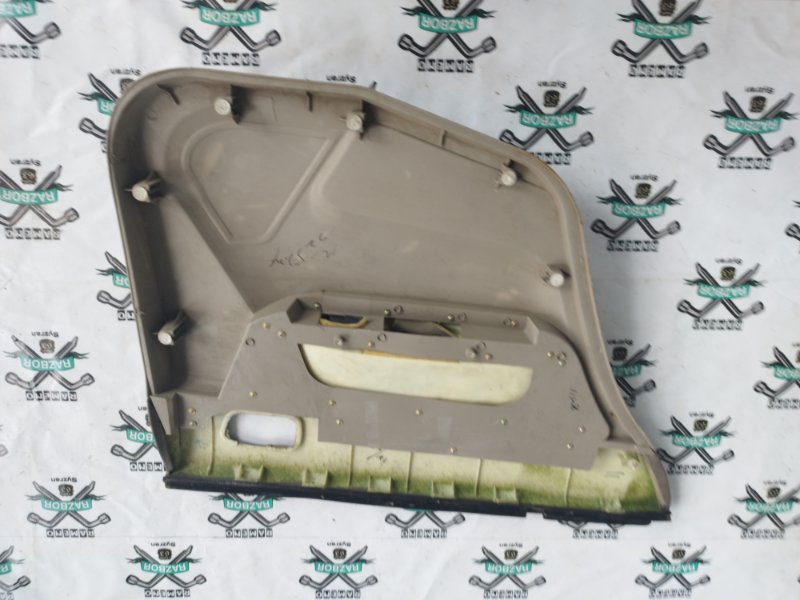 Обшивка боковой двери Chery Chery Fora