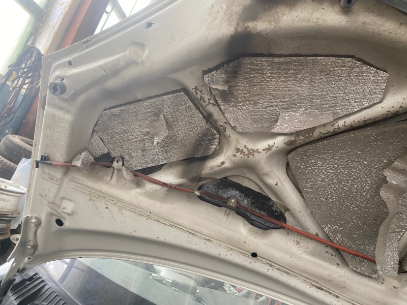 Капот Toyota Prius 1998 NHW10