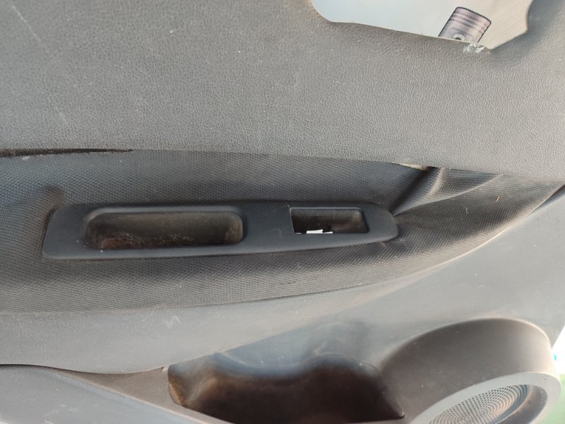 Обшивка боковой двери Nissan Qashqai