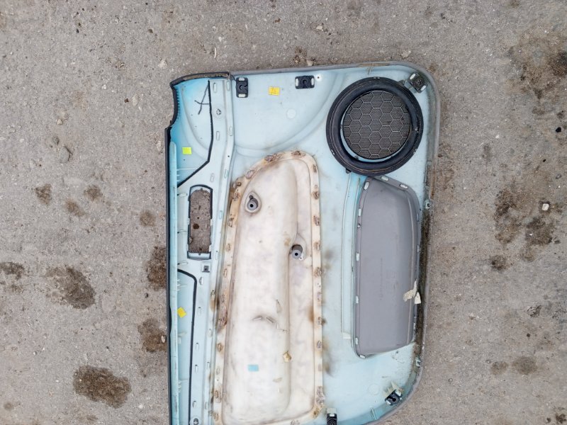Обшивка боковой двери Volkswagen Passat 1998 B5