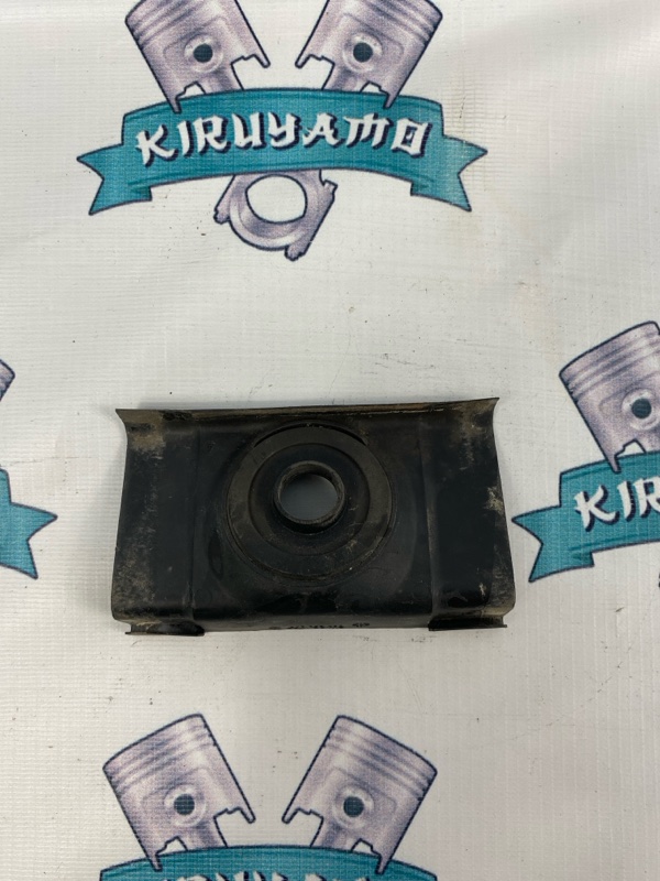 Решетка под лобовое стекло Volkswagen Passat 1998 B5