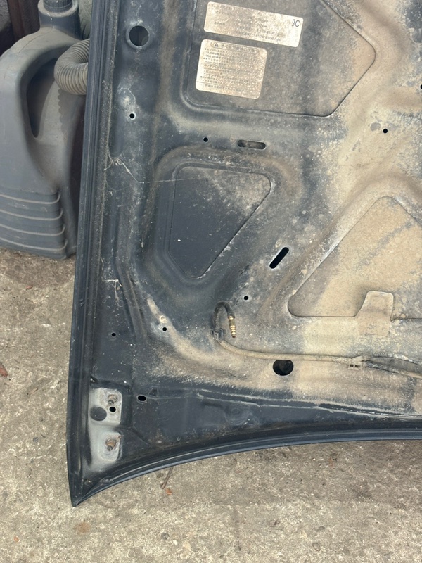 Капот Nissan Sunny 1999 GF-FB15