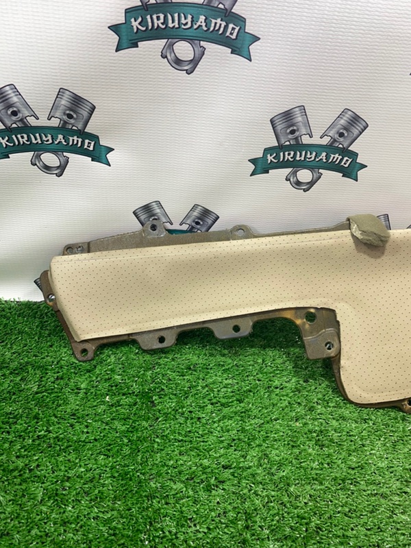 Обшивка боковой двери Toyota Land Cruiser Prado 2008 120
