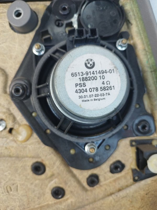 Обшивка боковой двери BMW X3 2007 E83