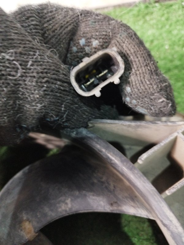 Вентилятор охлаждения радиатора Opel Omega