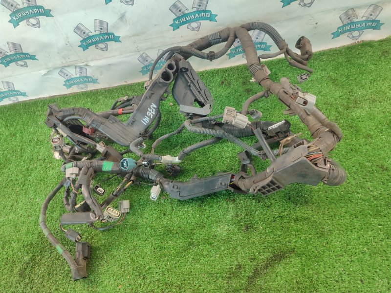 Электропроводка TOYOTA Corolla Fielder NZE141