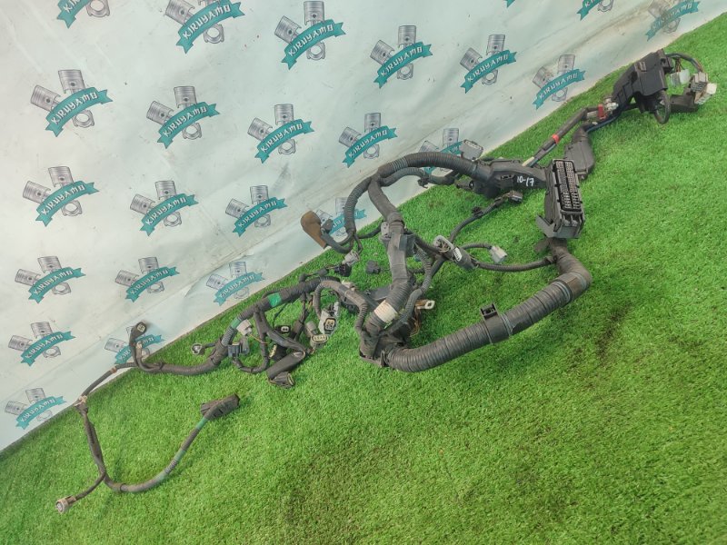 Электропроводка TOYOTA Corolla Fielder NZE141