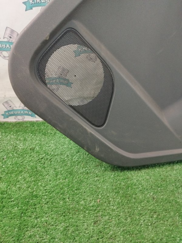 Обшивка боковой двери Ford FOCUS 2