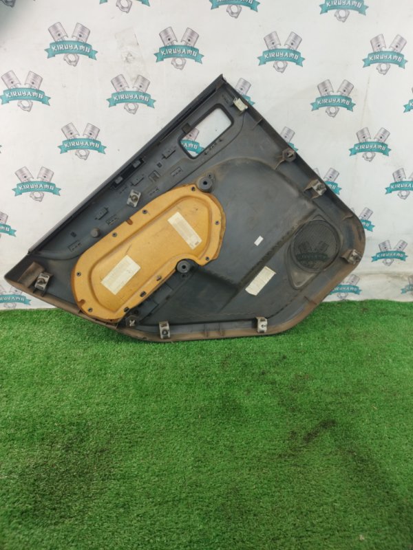 Обшивка боковой двери Ford FOCUS 2