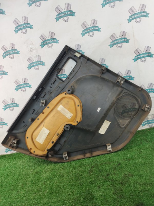 Обшивка боковой двери Ford FOCUS 2