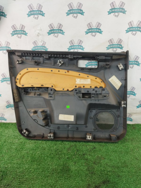 Обшивка боковой двери Ford FOCUS 2