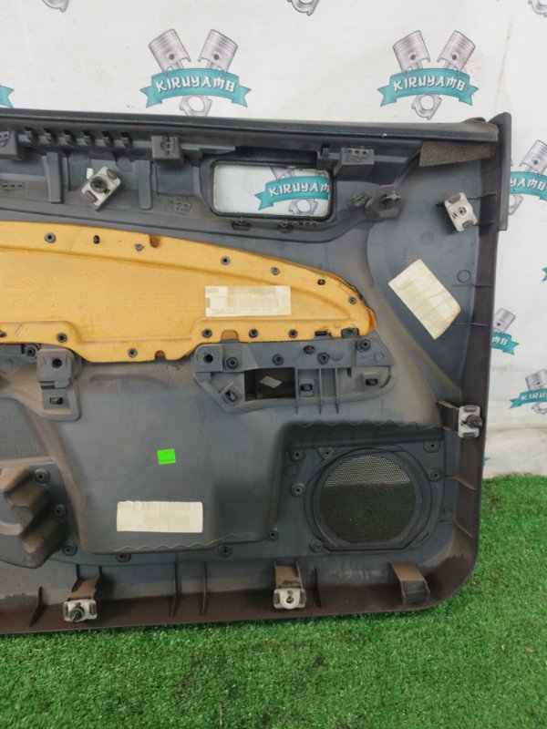 Обшивка боковой двери Ford FOCUS 2