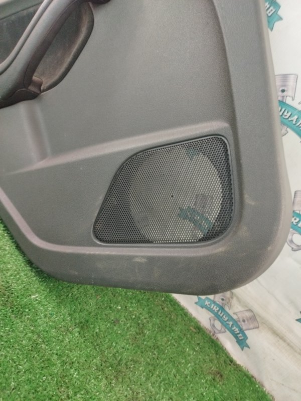 Обшивка боковой двери Ford FOCUS 2