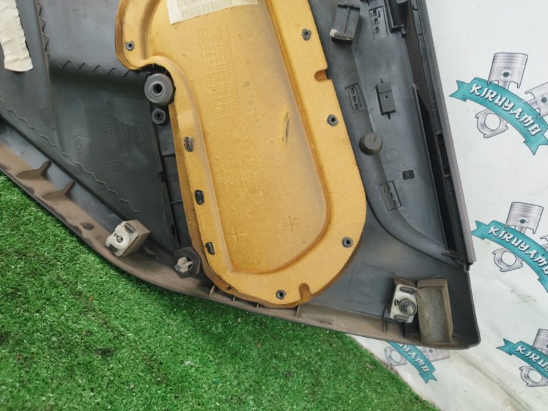 Обшивка боковой двери Ford FOCUS 2