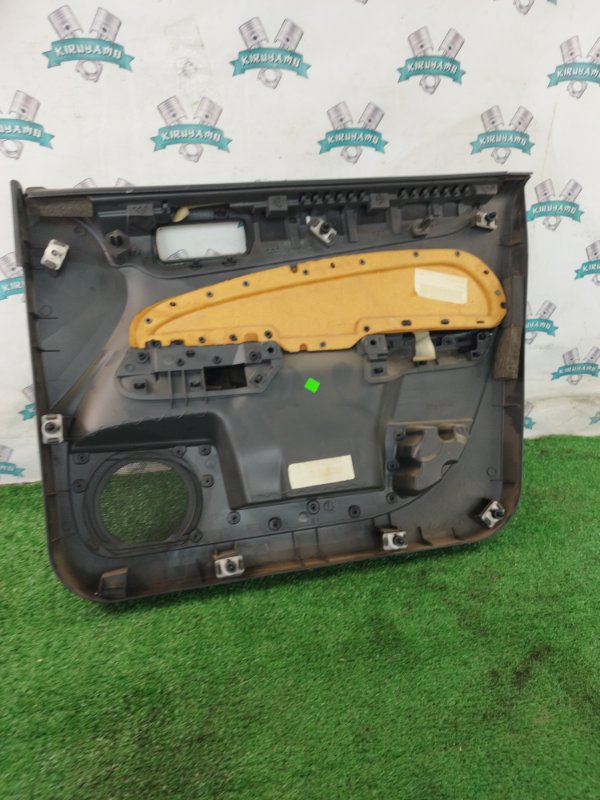 Обшивка боковой двери Ford FOCUS 2