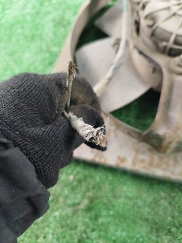 Вентилятор охлаждения радиатора лада 2106 2106