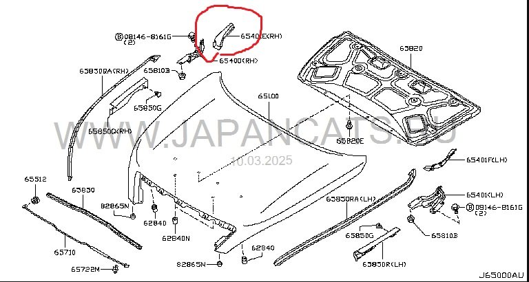 Уголок жабо NISSAN TEANA 2008 J32