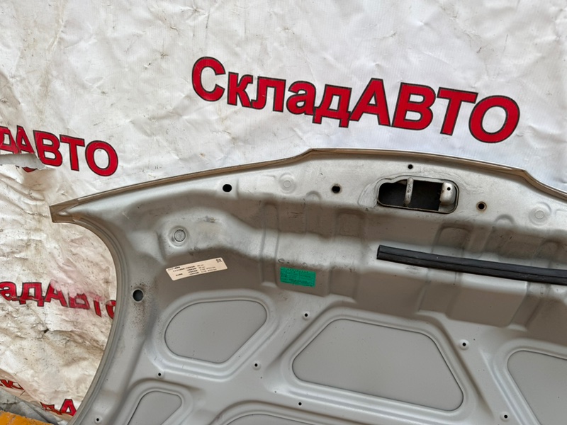 Капот NISSAN March 2009 BNK12
