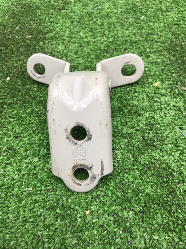 Петля двери