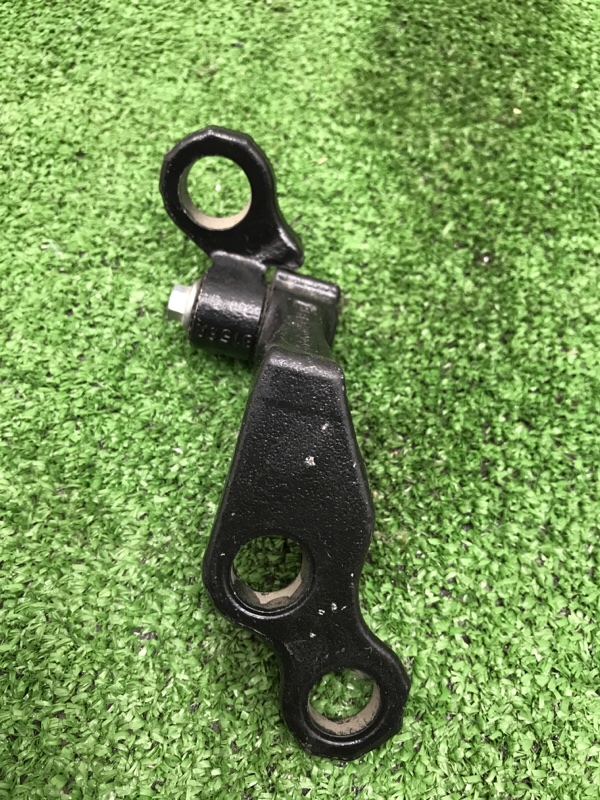 Петля двери