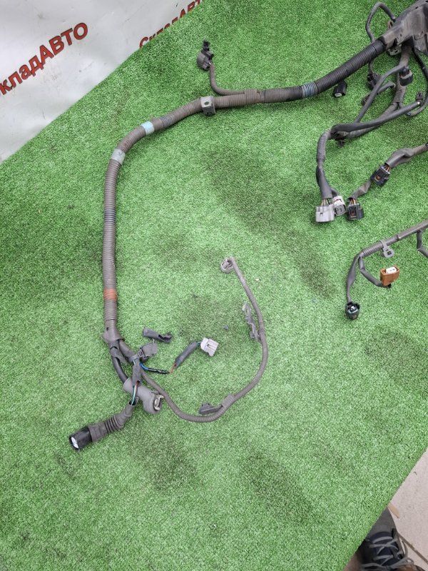 Проводка моторного отсека Toyota Estima 2008 ACR50W