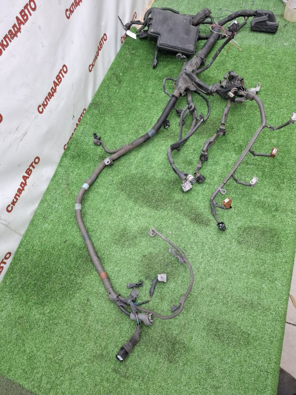 Проводка моторного отсека Toyota Estima 2008 ACR50W