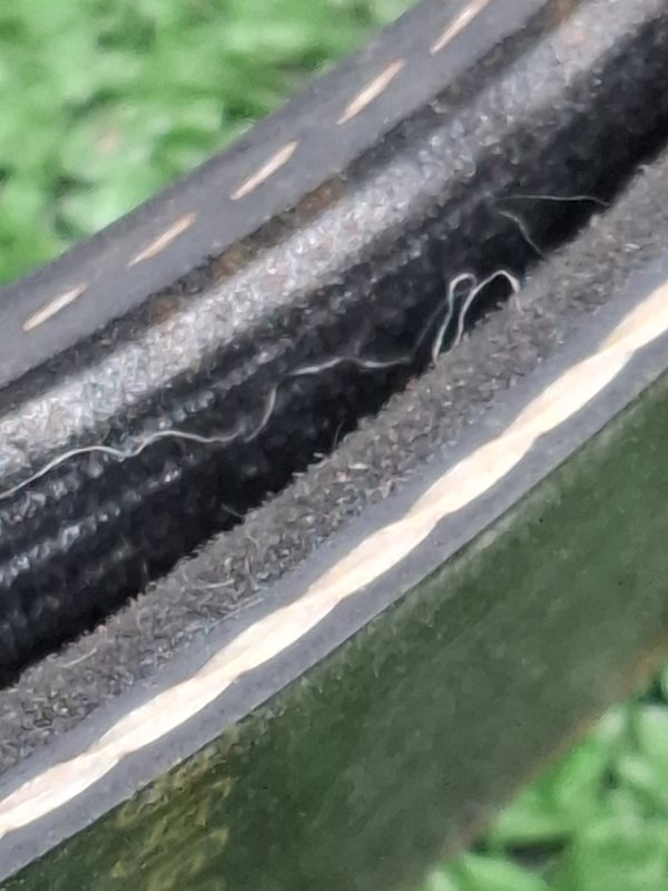 Ремень приводной Toyota Camry 2006 ACV40