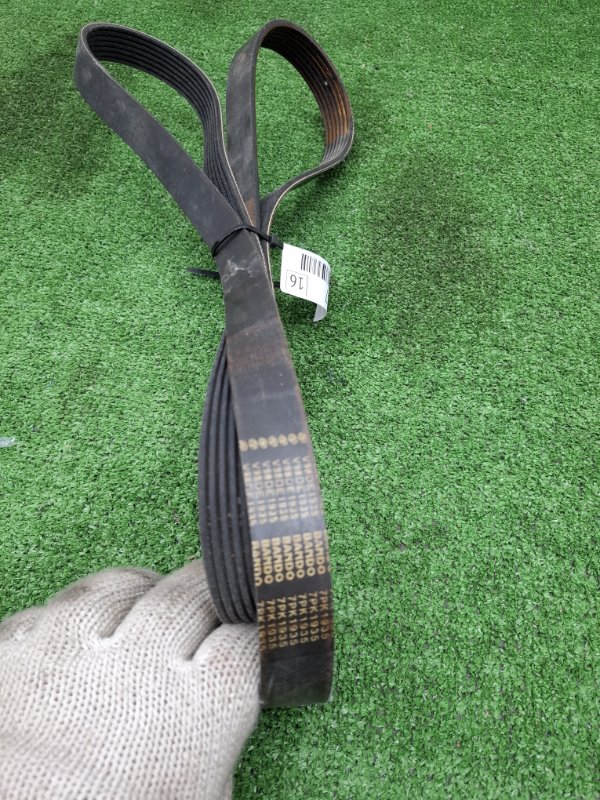 Ремень приводной Toyota Camry 2006 ACV40