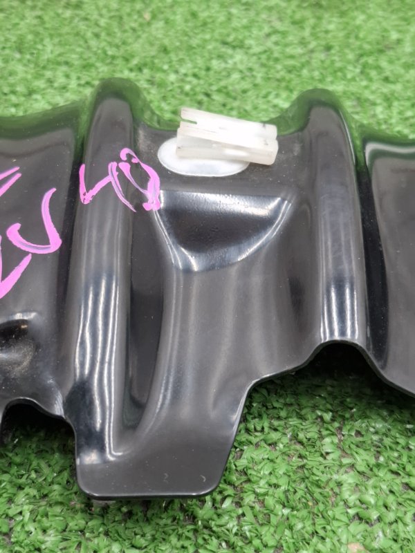 Защита впускного коллектора Toyota Camry 2008 ACV40