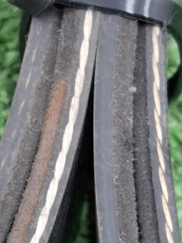 Ремень приводной Toyota Camry 2008 ACV40