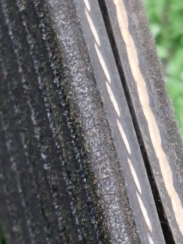 Ремень приводной Toyota Camry 2008 ACV40