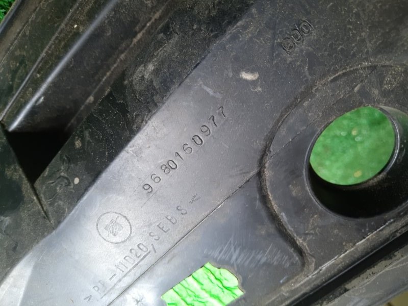 Накладка жабо (дождевик) Citroen C3 2003-2009