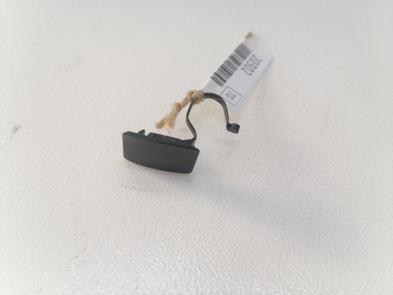 Заглушка обшивки Лада Ларгус