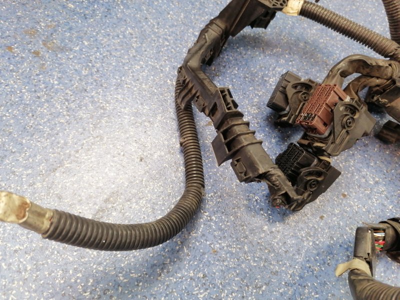 Проводка ДВС Nissan Teana J32