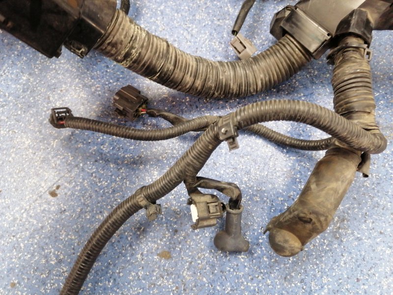 Проводка ДВС Nissan Teana J32