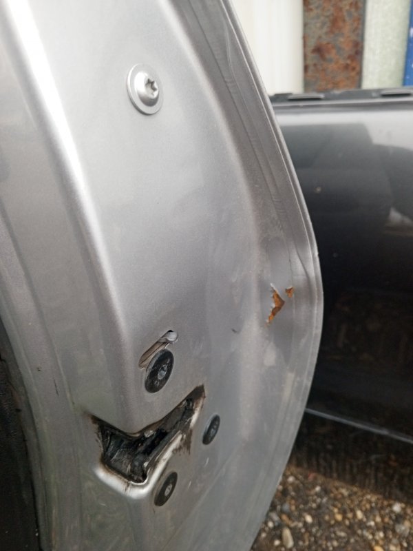 Дверь Lada Largus 2020