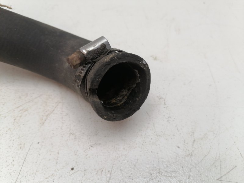 Патрубок радиатора Fiat Albea