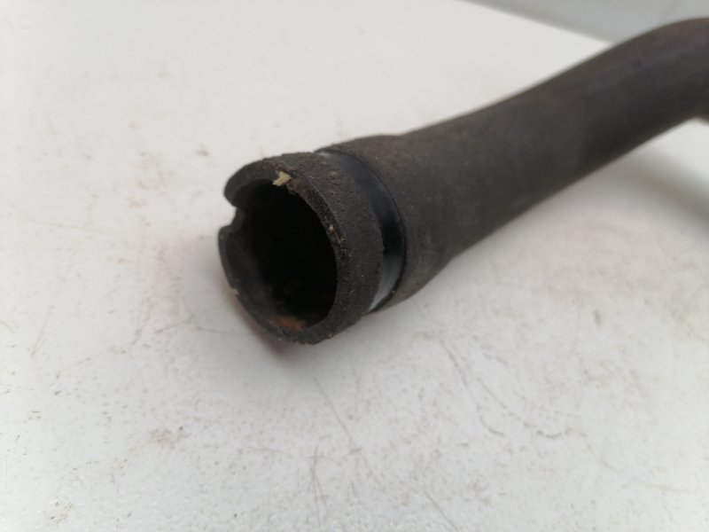 Патрубок радиатора Fiat Albea