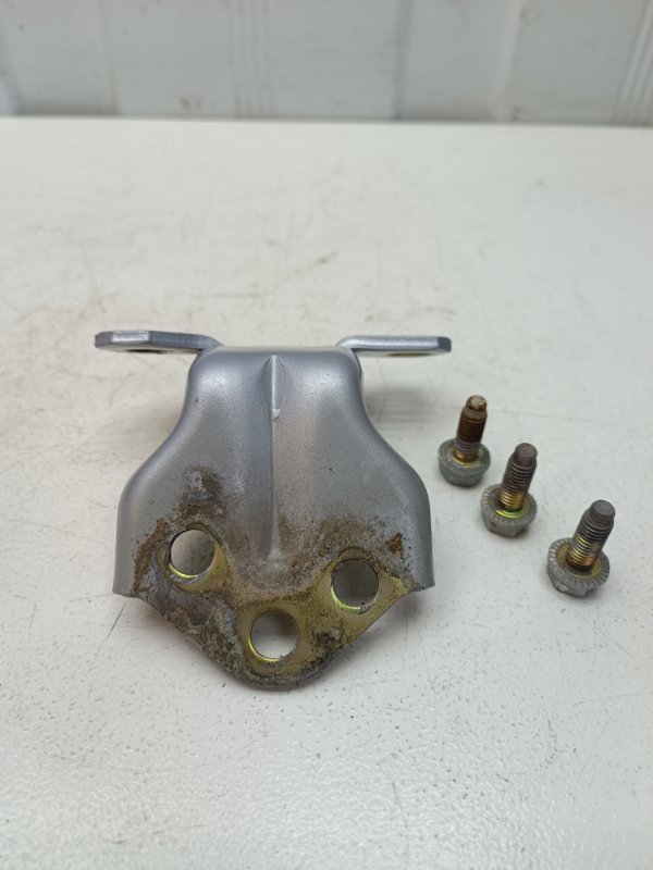 Петля двери Hyundai Sonata EF