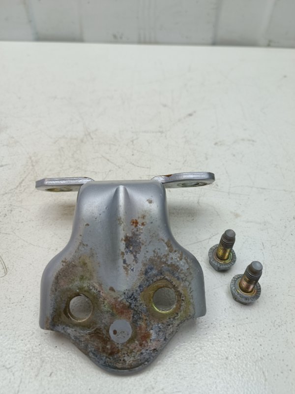 Петля двери Hyundai Sonata EF