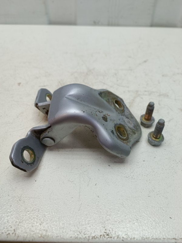 Петля двери Hyundai Sonata EF