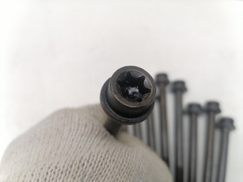 Комплект болтов ГБЦ Ford Focus 2