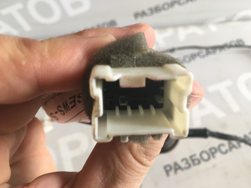 Проводка двери Nissan Almera N16 2005 хэтчбек