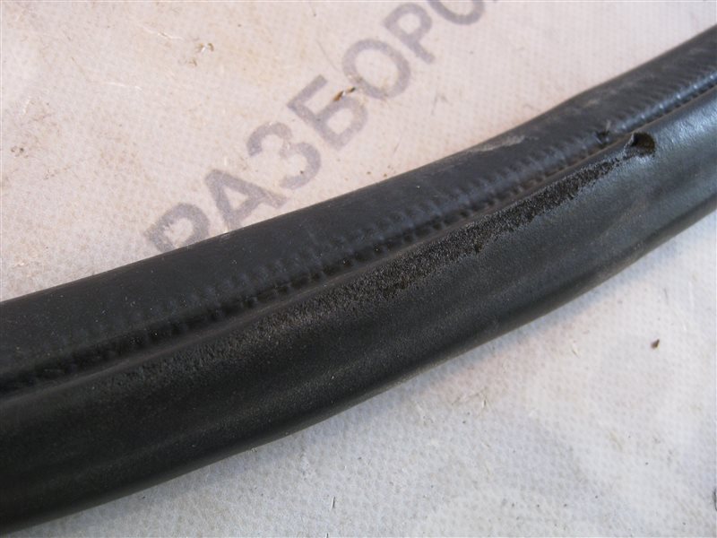 Уплотнитель проема двери Nissan Primera P12 2003 хэтчбек