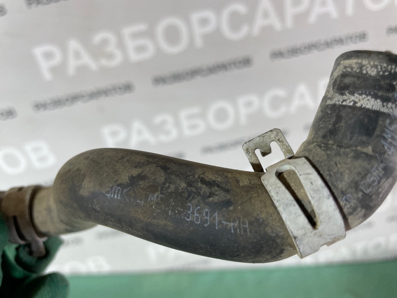 Шланг ГУРа Ford Focus II 2008 седан