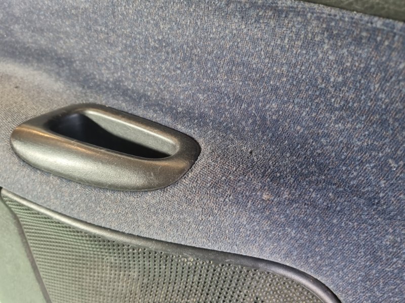 Обшивка двери Peugeot 206 2004 хэтчбек