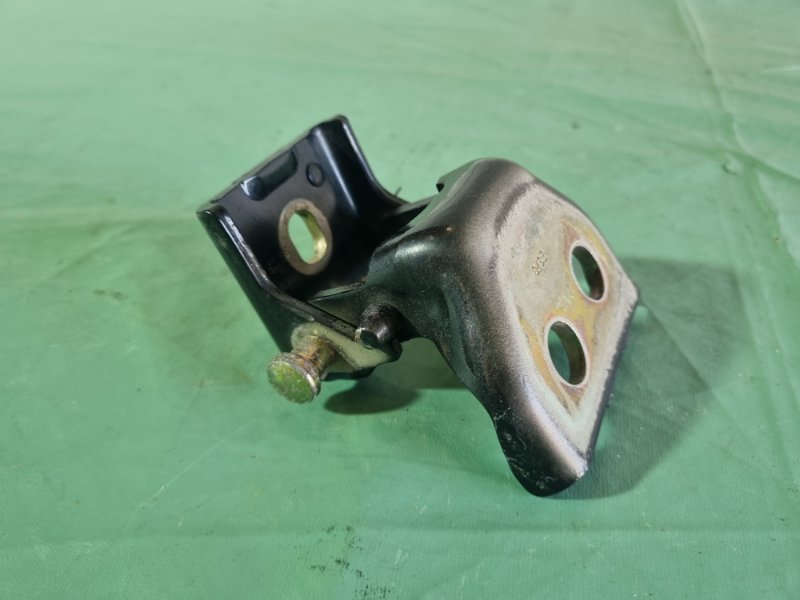 Петля двери Citroen C4 2005 хэтчбек 5 дв.