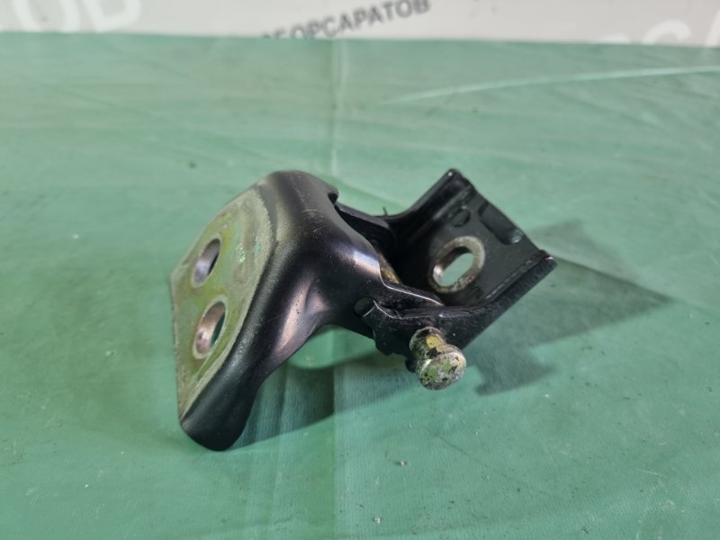 Петля двери Citroen C4 2005 хэтчбек 5 дв.